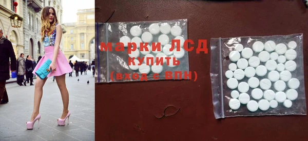 индика Покачи