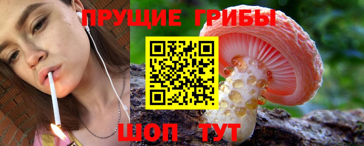 Галлюциногенные грибы мухоморы Каменск-Шахтинский