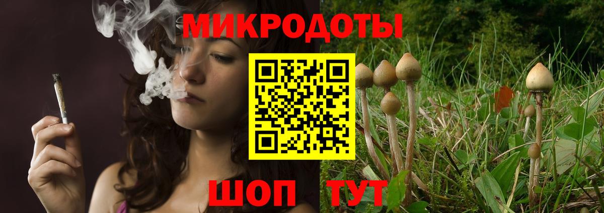 наркошоп  Галлюциногенные грибы Psilocybine cubensis  Вход с VPN  Каменск-Шахтинский 